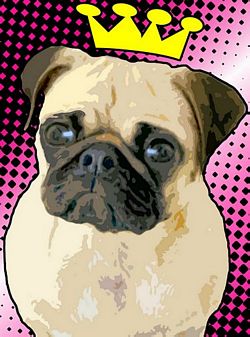 Limited Edition Chinese Pug Print